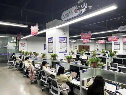 揚(yáng)州天貓國(guó)際自營(yíng)服務(wù)中心迎咨詢高峰，300名大學(xué)生支援客服工作