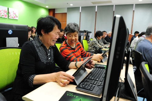 聚焦五大功能，賈煒為上海學習型城市建設注入高質量教育咨詢服務新動能